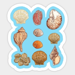 Seashells Sticker